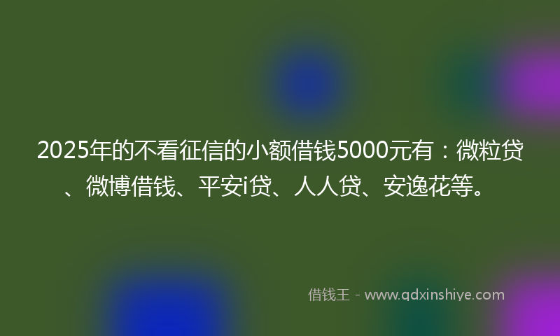 2025年的不看征信的小额借钱5000元有：微粒贷、微博借钱、平安i贷、人人贷、安逸花等。