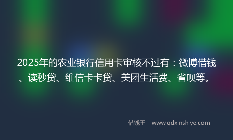 2025年的农业银行信用卡审核不过有：微博借钱、读秒贷、维信卡卡贷、美团生活费、省呗等。