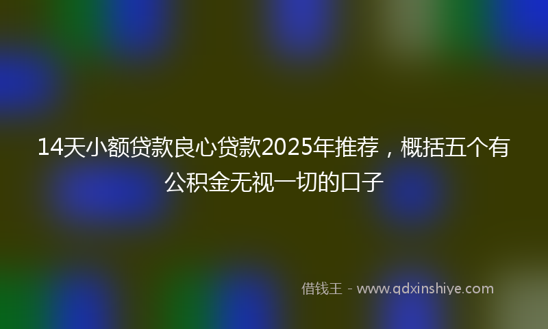 14天小额贷款良心贷款2025年推荐，概括五个有公积金无视一切的口子