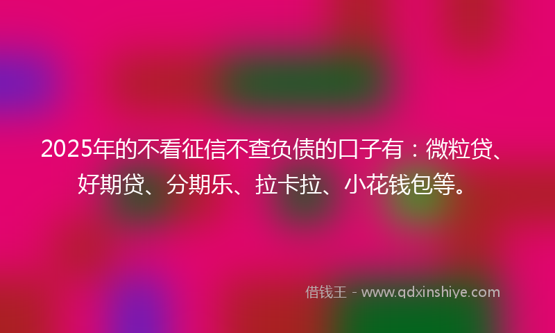 2025年的不看征信不查负债的口子有：微粒贷、好期贷、分期乐、拉卡拉、小花钱包等。