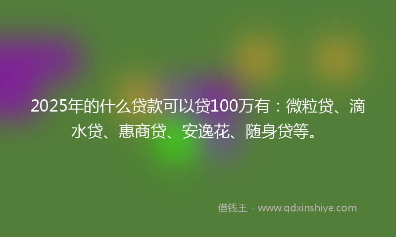 2025年的什么贷款可以贷100万有：微粒贷、滴水贷、惠商贷、安逸花、随身贷等。