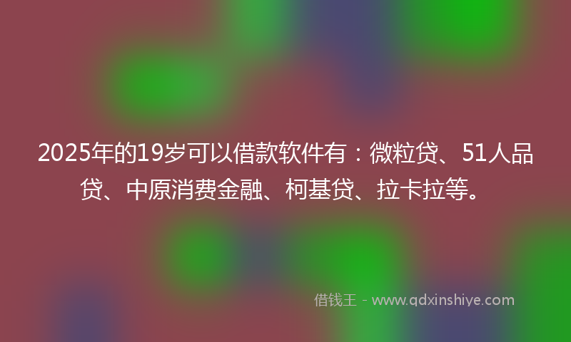 2025年的19岁可以借款软件有：微粒贷、51人品贷、中原消费金融、柯基贷、拉卡拉等。
