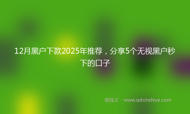 12月黑户下款2025年推荐，分享5个无视黑户秒下的口子