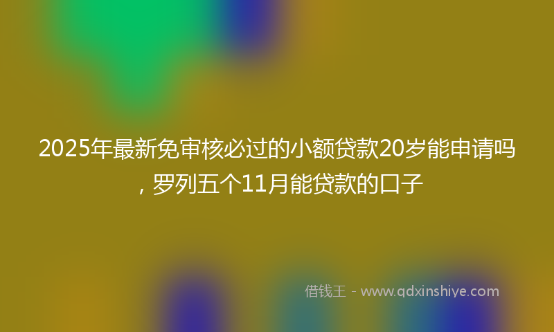 2025年最新免审核必过的小额贷款20岁能申请吗，罗列五个11月能贷款的口子