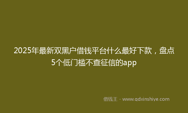 2025年最新双黑户借钱平台什么最好下款，盘点5个低门槛不查征信的app