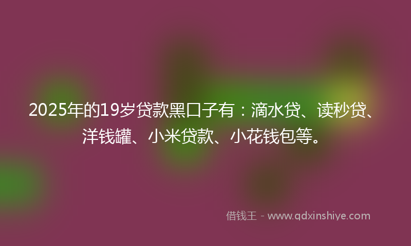 2025年的19岁贷款黑口子有：滴水贷、读秒贷、洋钱罐、小米贷款、小花钱包等。