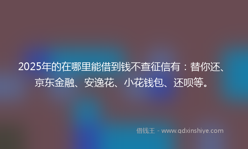 2025年的在哪里能借到钱不查征信有：替你还、京东金融、安逸花、小花钱包、还呗等。