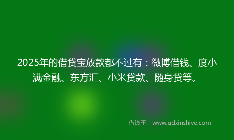 2025年的借贷宝放款都不过有：微博借钱、度小满金融、东方汇、小米贷款、随身贷等。