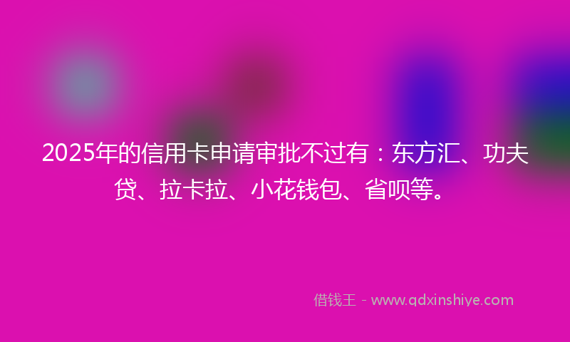 2025年的信用卡申请审批不过有：东方汇、功夫贷、拉卡拉、小花钱包、省呗等。
