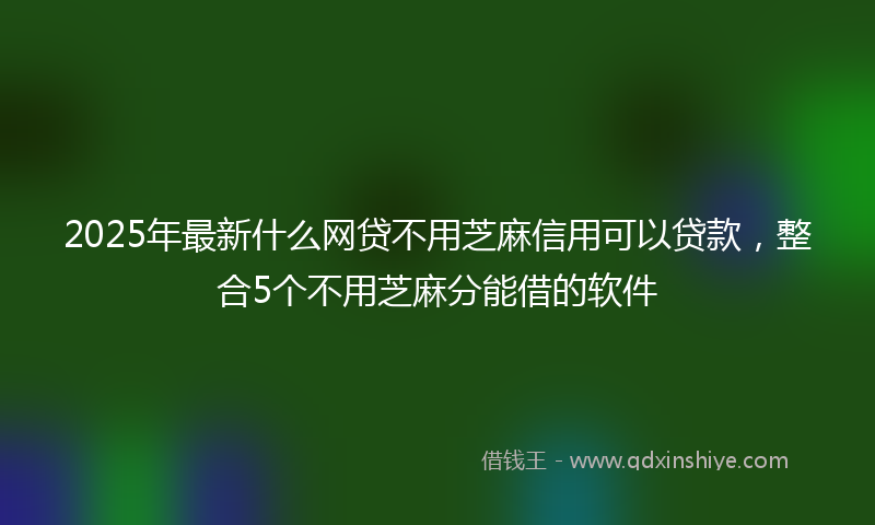 2025年最新什么网贷不用芝麻信用可以贷款，整合5个不用芝麻分能借的软件