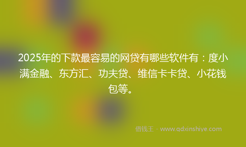 2025年的下款最容易的网贷有哪些软件有：度小满金融、东方汇、功夫贷、维信卡卡贷、小花钱包等。
