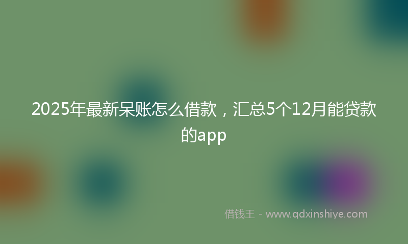 2025年最新呆账怎么借款，汇总5个12月能贷款的app