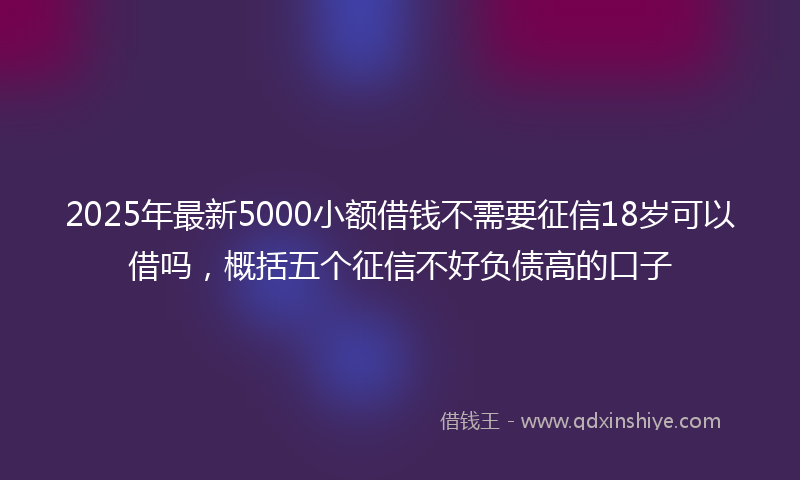 2025年最新5000小额借钱不需要征信18岁可以借吗，概括五个征信不好负债高的口子