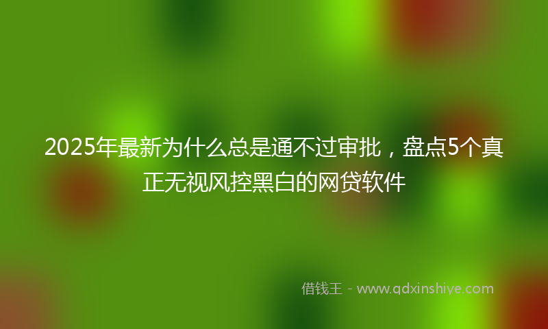 2025年最新为什么总是通不过审批，盘点5个真正无视风控黑白的网贷软件