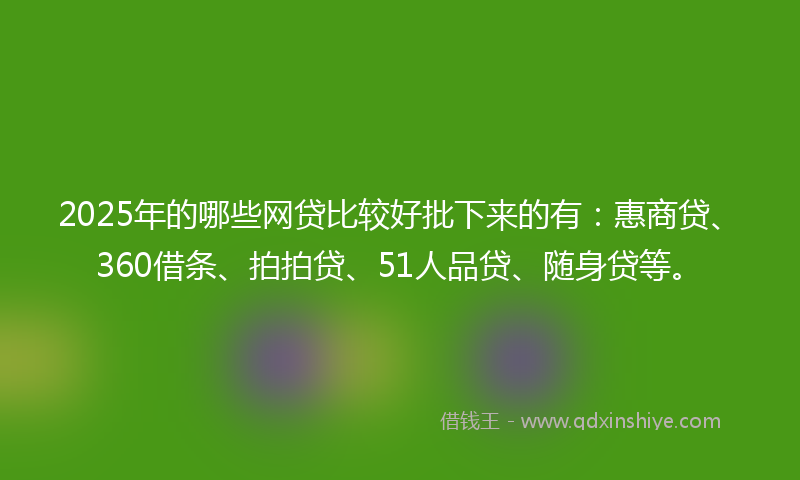 2025年的哪些网贷比较好批下来的有：惠商贷、360借条、拍拍贷、51人品贷、随身贷等。