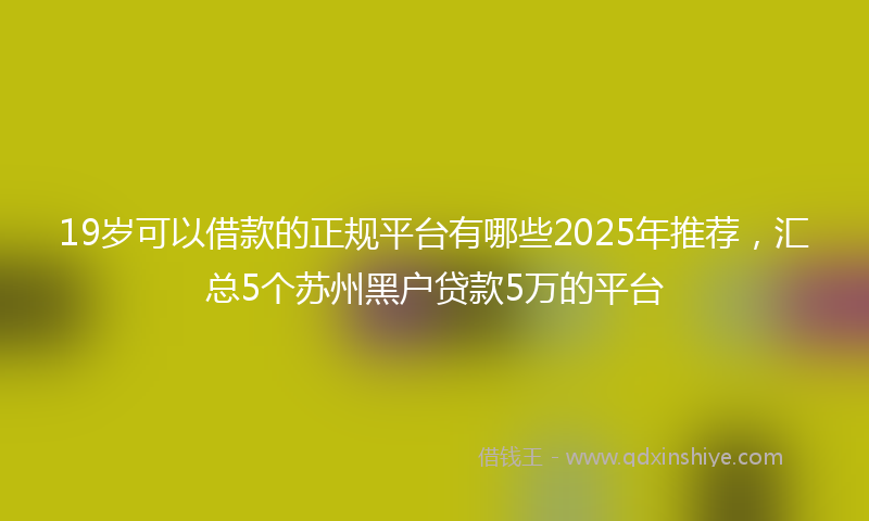 19岁可以借款的正规平台有哪些2025年推荐，汇总5个苏州黑户贷款5万的平台