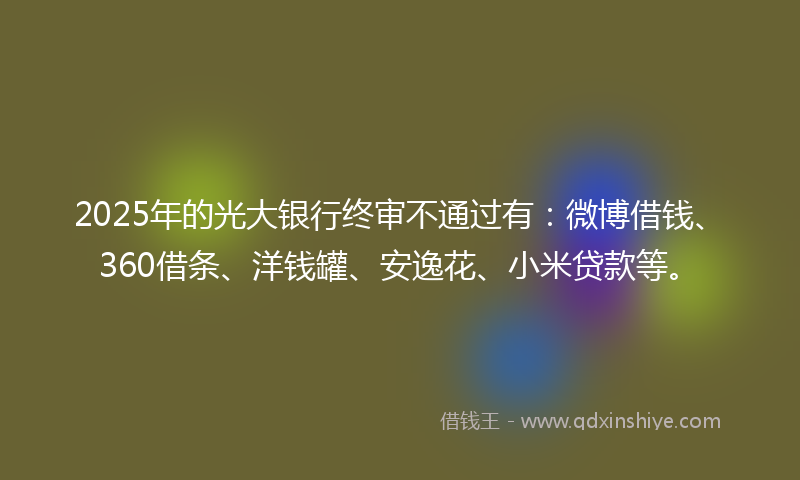 2025年的光大银行终审不通过有：微博借钱、360借条、洋钱罐、安逸花、小米贷款等。