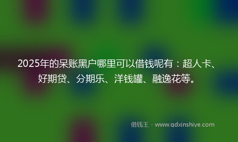 2025年的呆账黑户哪里可以借钱呢有：超人卡、好期贷、分期乐、洋钱罐、融逸花等。