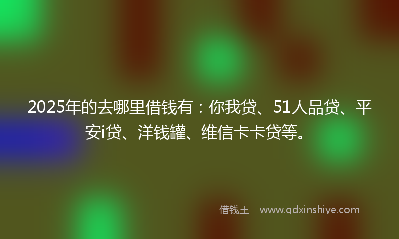 2025年的去哪里借钱有：你我贷、51人品贷、平安i贷、洋钱罐、维信卡卡贷等。