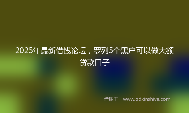 2025年最新借钱论坛，罗列5个黑户可以做大额贷款口子