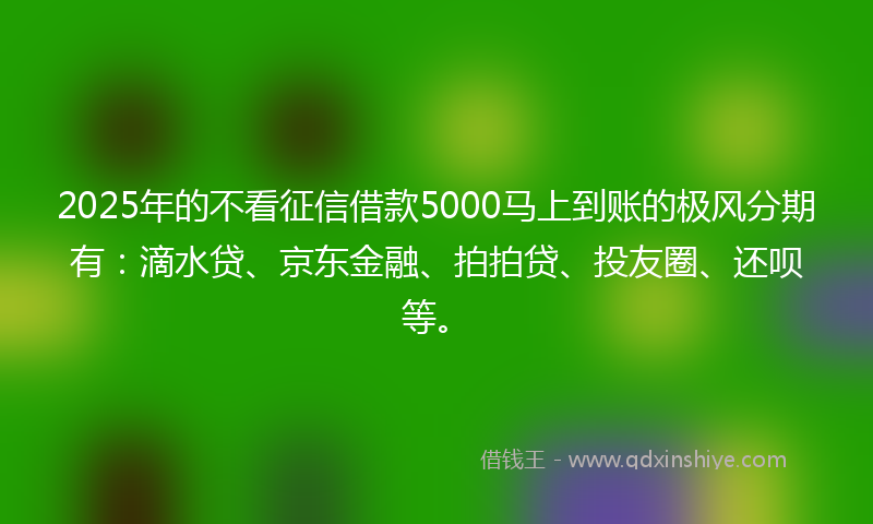 2025年的不看征信借款5000马上到账的极风分期有：滴水贷、京东金融、拍拍贷、投友圈、还呗等。