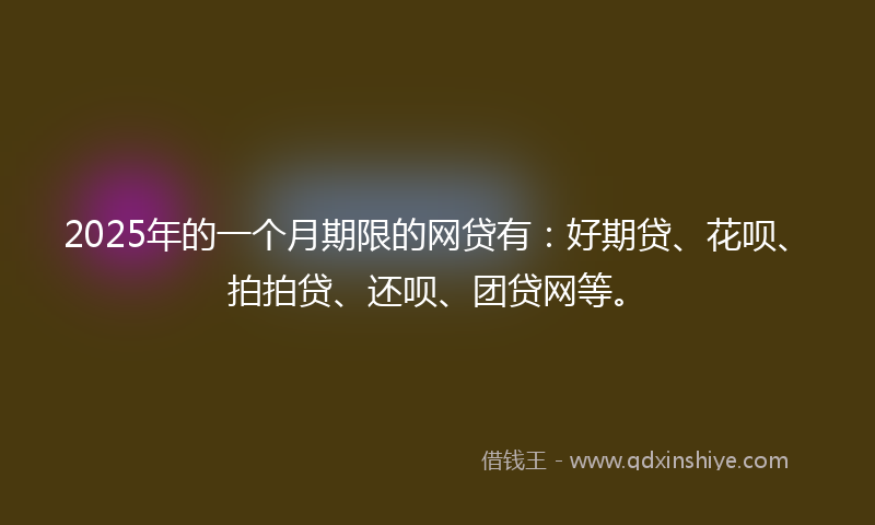 2025年的一个月期限的网贷有：好期贷、花呗、拍拍贷、还呗、团贷网等。