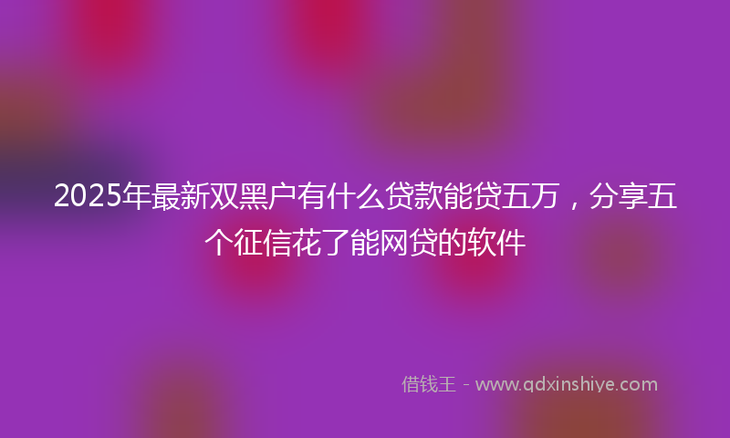 2025年最新双黑户有什么贷款能贷五万，分享五个征信花了能网贷的软件
