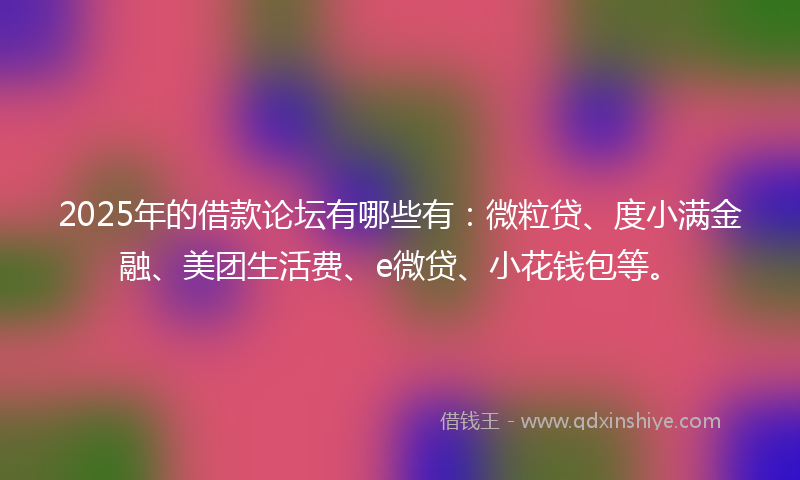 2025年的借款论坛有哪些有：微粒贷、度小满金融、美团生活费、e微贷、小花钱包等。