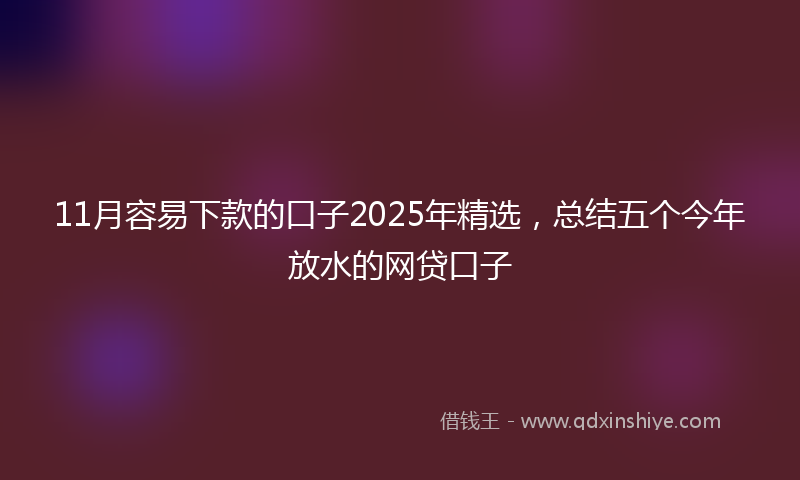 11月容易下款的口子2025年精选，总结五个今年放水的网贷口子