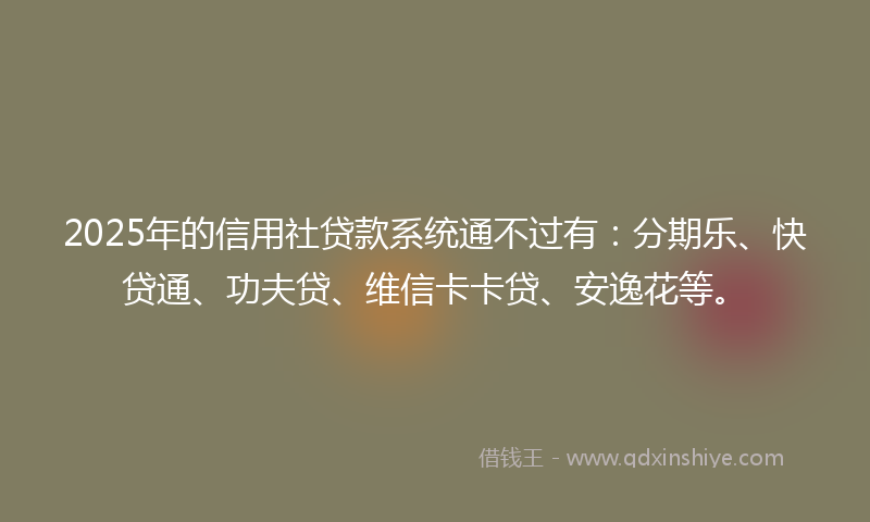 2025年的信用社贷款系统通不过有：分期乐、快贷通、功夫贷、维信卡卡贷、安逸花等。