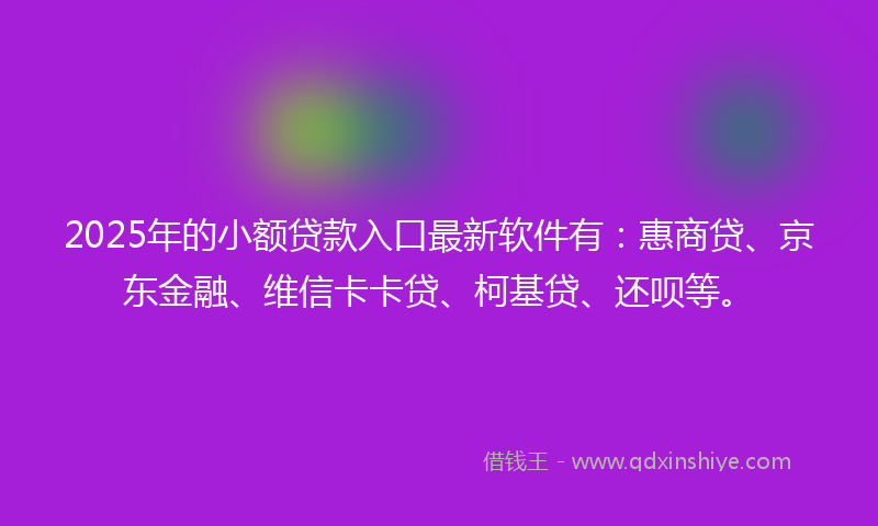 2025年的小额贷款入口最新软件有：惠商贷、京东金融、维信卡卡贷、柯基贷、还呗等。