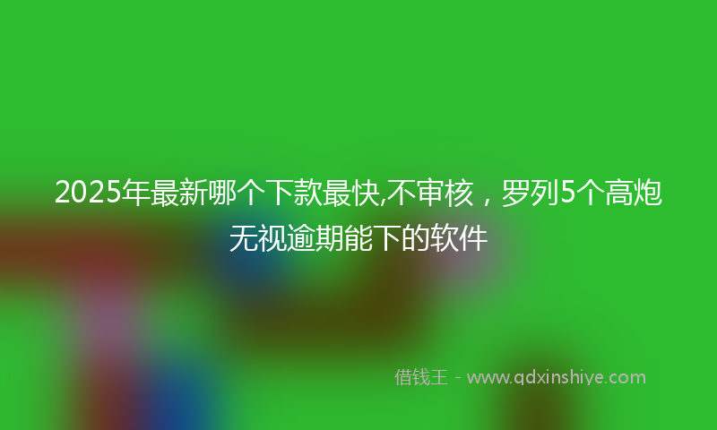 2025年最新哪个下款最快,不审核，罗列5个高炮无视逾期能下的软件