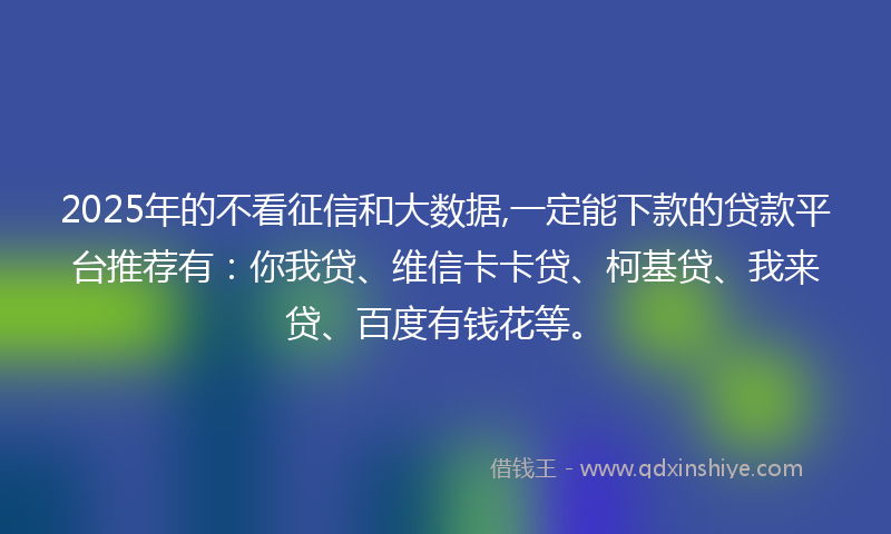 2025年的不看征信和大数据,一定能下款的贷款平台推荐有：你我贷、维信卡卡贷、柯基贷、我来贷、百度有钱花等。