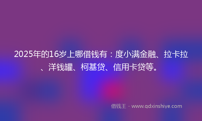 2025年的16岁上哪借钱有：度小满金融、拉卡拉、洋钱罐、柯基贷、信用卡贷等。