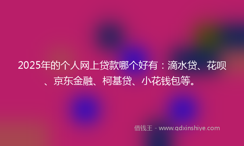 2025年的个人网上贷款哪个好有：滴水贷、花呗、京东金融、柯基贷、小花钱包等。