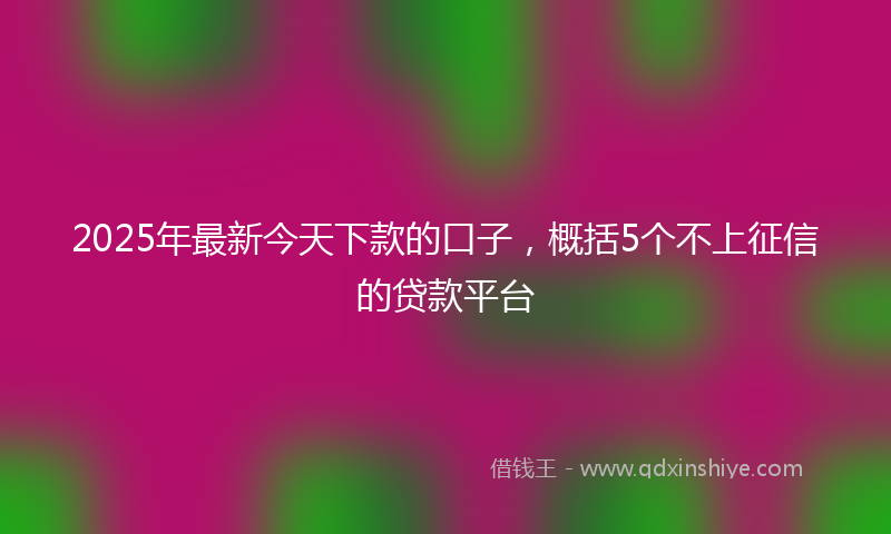 2025年最新今天下款的口子，概括5个不上征信的贷款平台