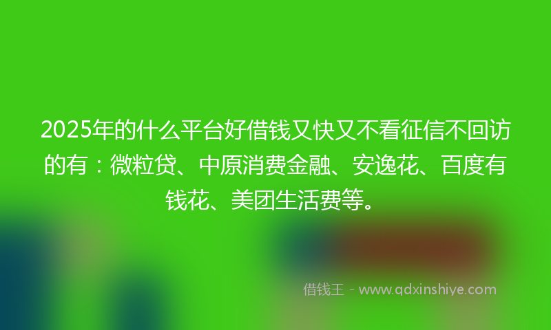 2025年的什么平台好借钱又快又不看征信不回访的有：微粒贷、中原消费金融、安逸花、百度有钱花、美团生活费等。