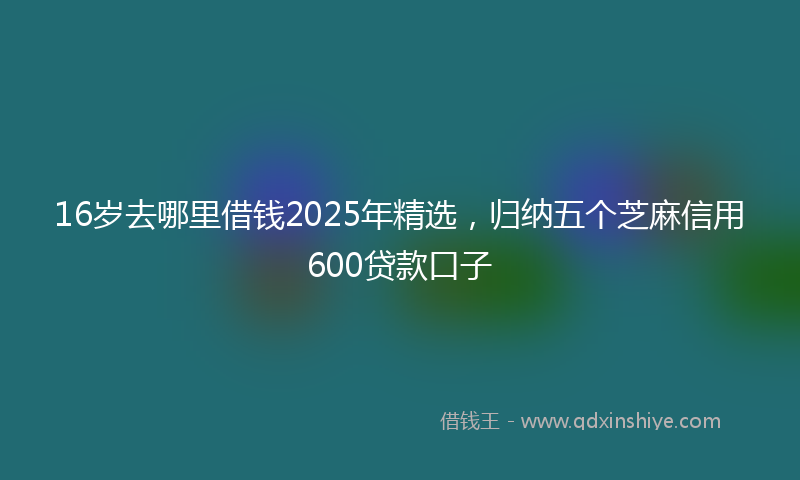 16岁去哪里借钱2025年精选，归纳五个芝麻信用600贷款口子
