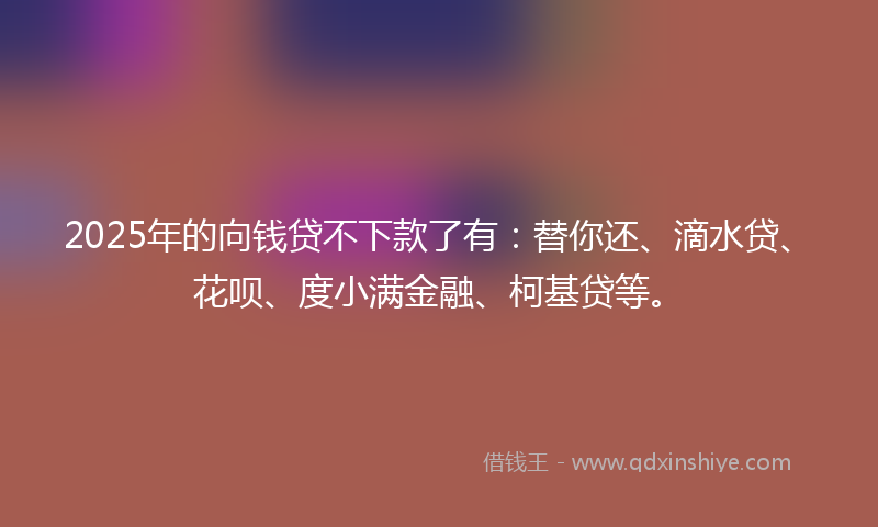 2025年的向钱贷不下款了有：替你还、滴水贷、花呗、度小满金融、柯基贷等。