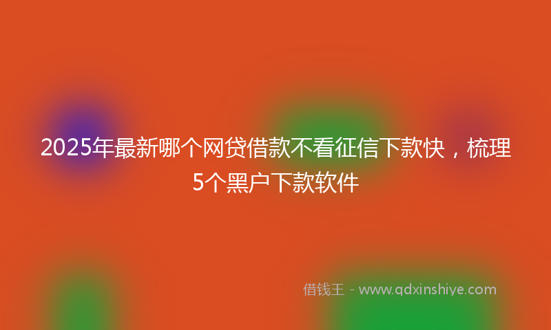2025年最新哪个网贷借款不看征信下款快，梳理5个黑户下款软件