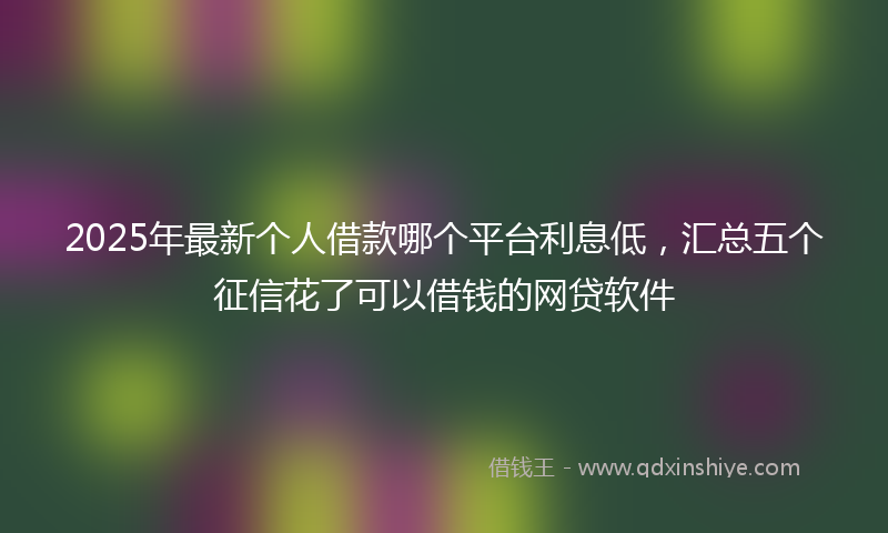 2025年最新个人借款哪个平台利息低，汇总五个征信花了可以借钱的网贷软件
