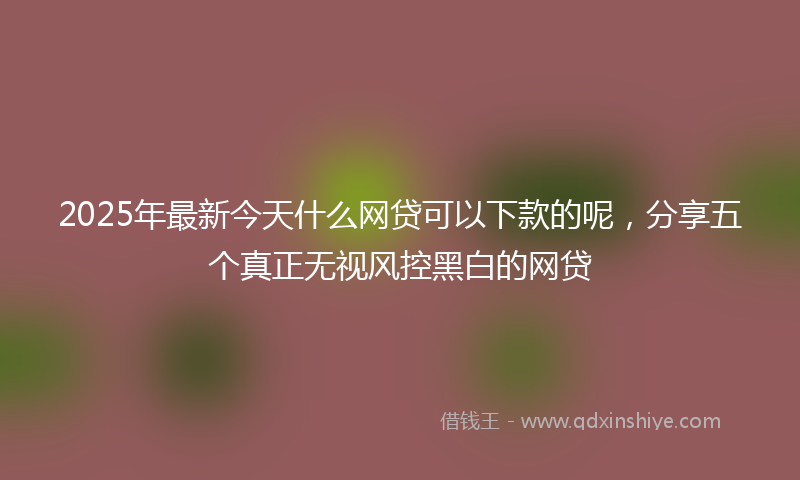 2025年最新今天什么网贷可以下款的呢，分享五个真正无视风控黑白的网贷