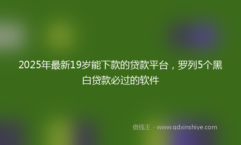 2025年最新19岁能下款的贷款平台，罗列5个黑白贷款必过的软件