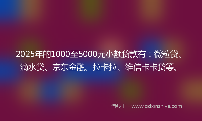 2025年的1000至5000元小额贷款有：微粒贷、滴水贷、京东金融、拉卡拉、维信卡卡贷等。