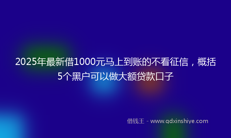 2025年最新借1000元马上到账的不看征信，概括5个黑户可以做大额贷款口子