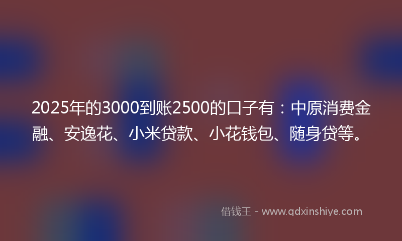 2025年的3000到账2500的口子有：中原消费金融、安逸花、小米贷款、小花钱包、随身贷等。