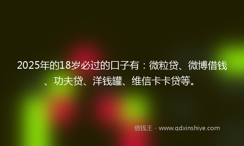 2025年的18岁必过的口子有：微粒贷、微博借钱、功夫贷、洋钱罐、维信卡卡贷等。