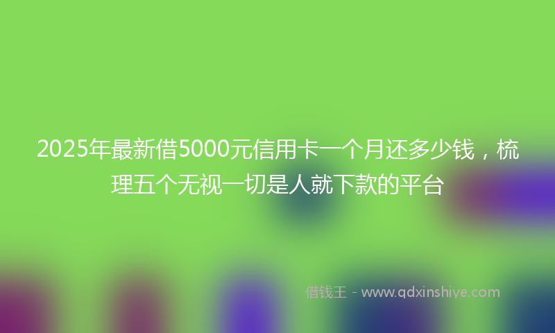 2025年最新借5000元信用卡一个月还多少钱，梳理五个无视一切是人就下款的平台