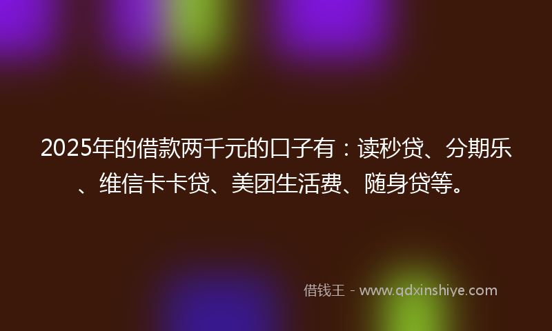 2025年的借款两千元的口子有：读秒贷、分期乐、维信卡卡贷、美团生活费、随身贷等。