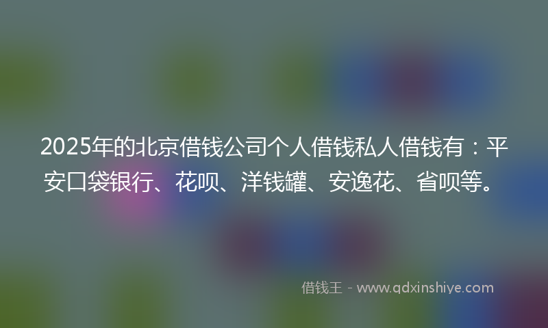 2025年的北京借钱公司个人借钱私人借钱有：平安口袋银行、花呗、洋钱罐、安逸花、省呗等。